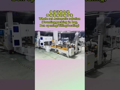 ระบบการนับ บรรจุ และบรรจุกล่องอย่างครบวงจร